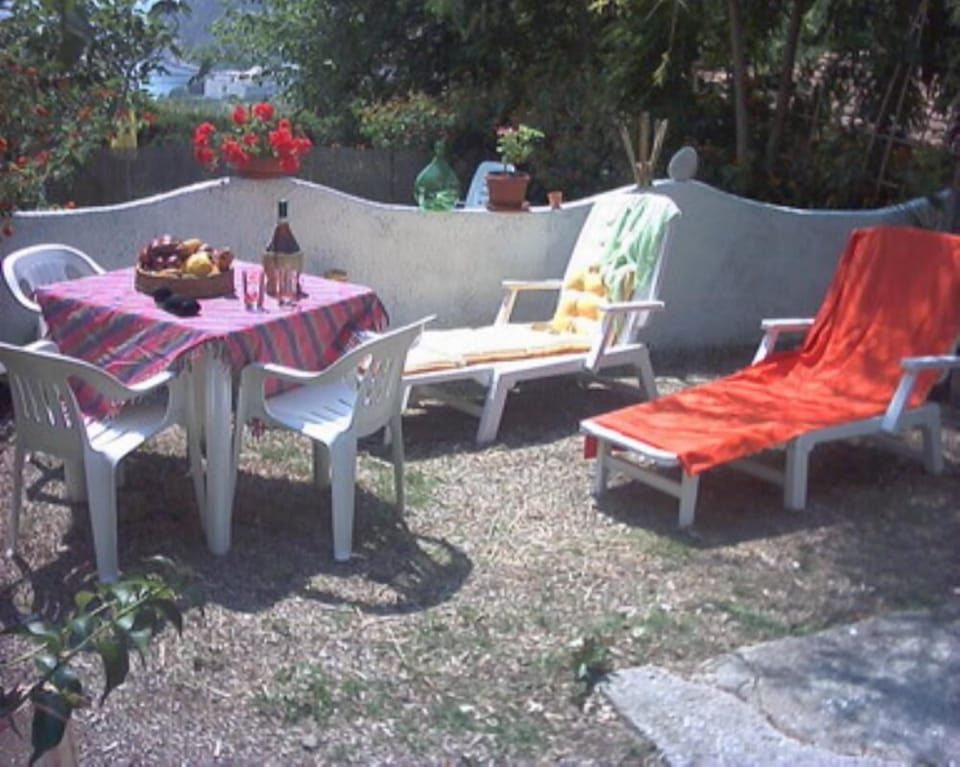 Garden, Park