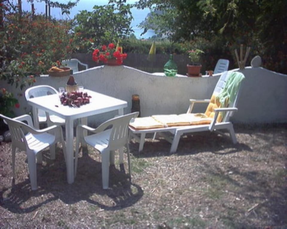 Garden, Park