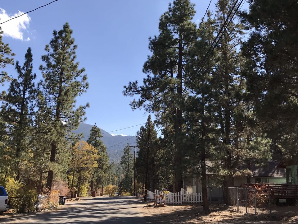 The view from the street directly in front of my house