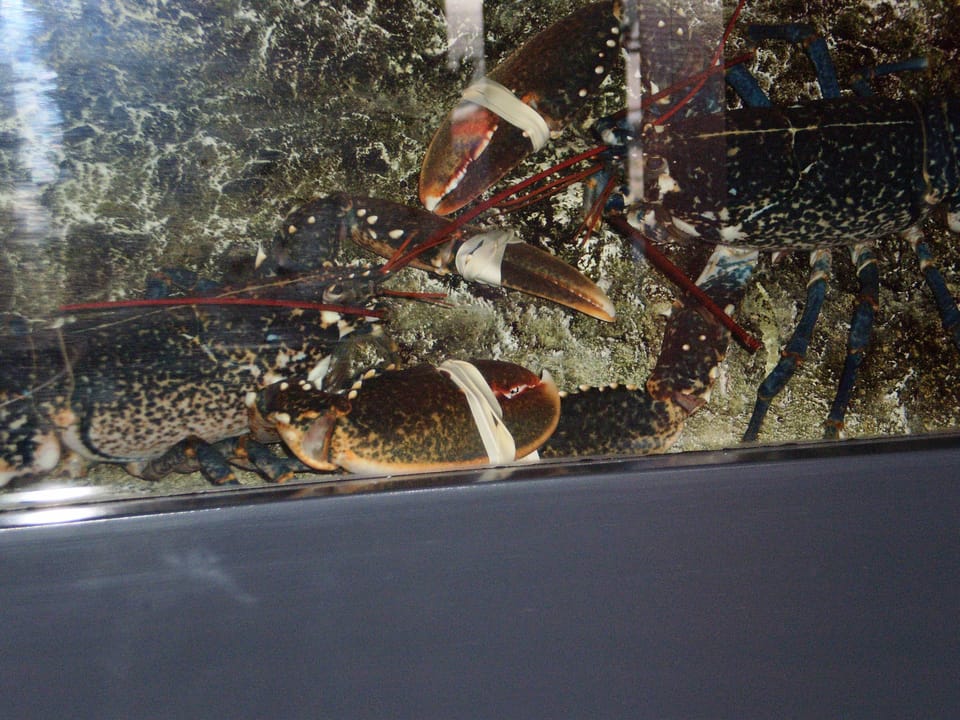 Lunch and dinner served, French cuisine