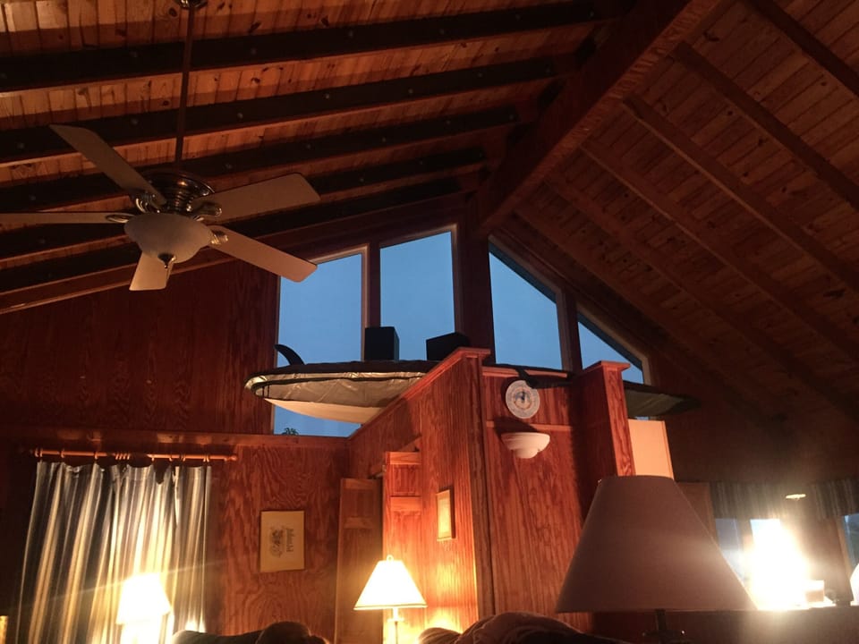 View from top of stairs.  That window is above kitchen area.  Vaulted ceiling.