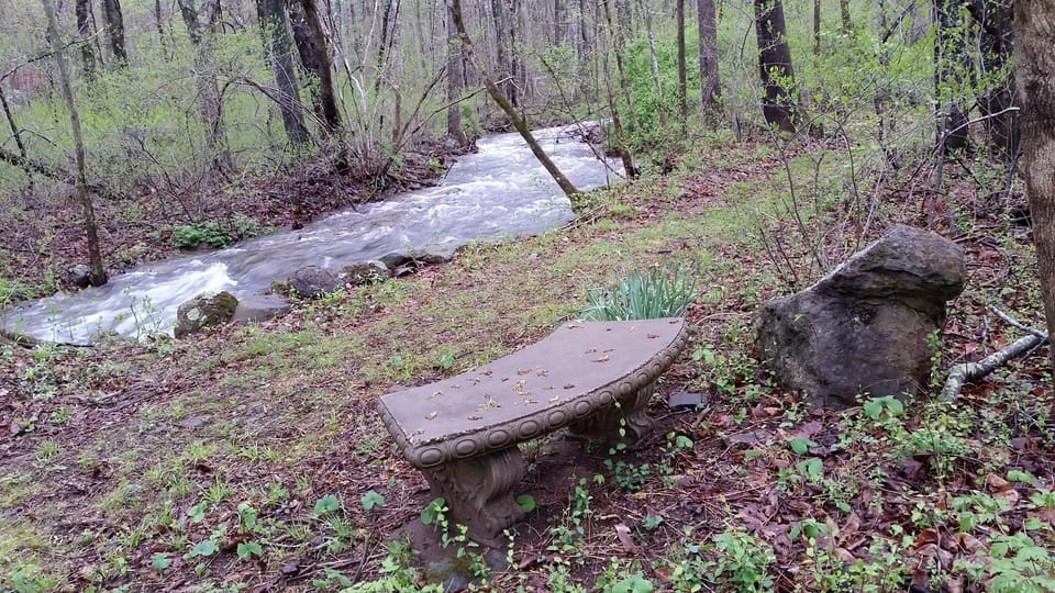 Bench along creek