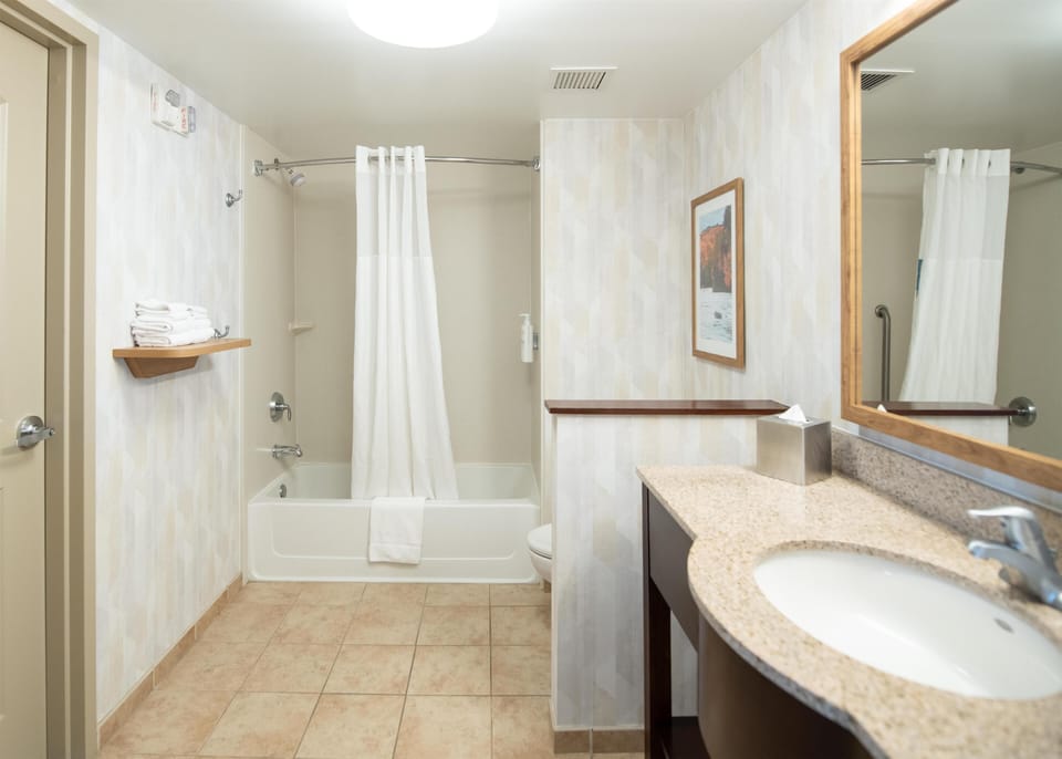 Suite, 1 King Bed with Sofa bed, Accessible, Bathtub (Mobility & Hearing) | Bathroom | Free toiletries, hair dryer, towels