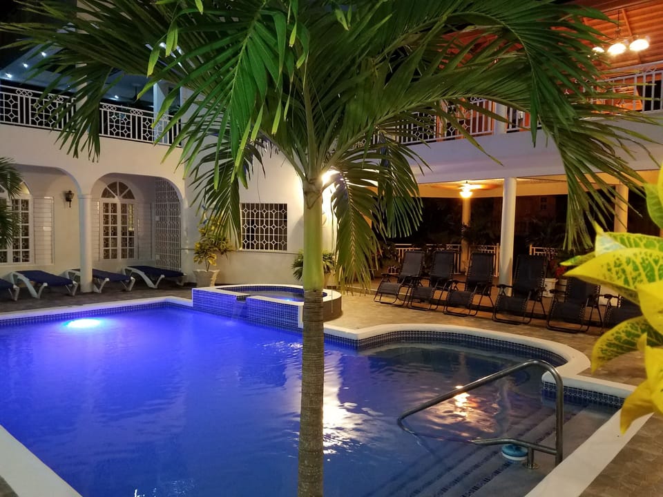 Outdoor pool, sun loungers