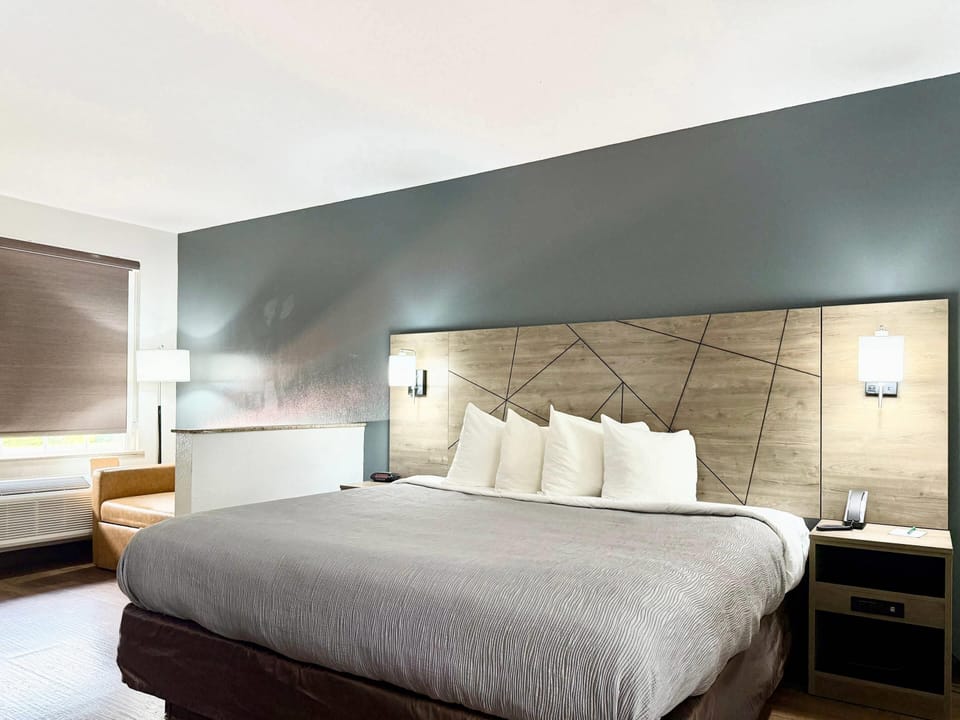 Suite King Non Smoking 2 person Sofabed | Premium bedding, desk, laptop workspace, blackout drapes