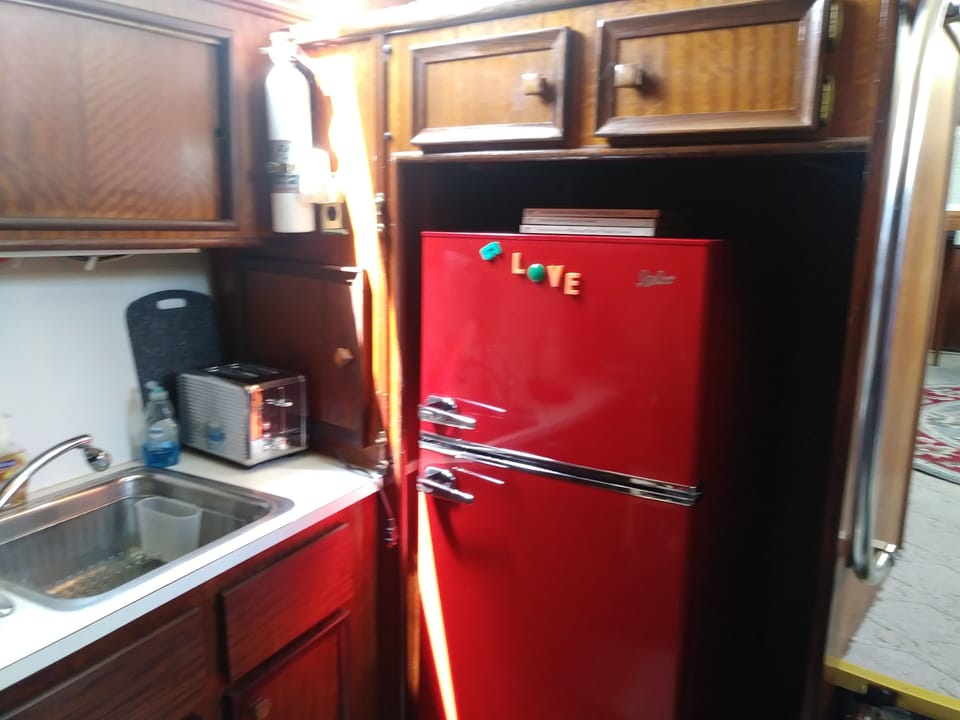 Plenty of fridge space