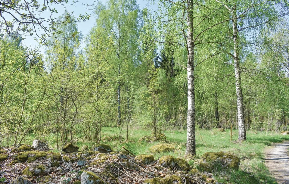 area