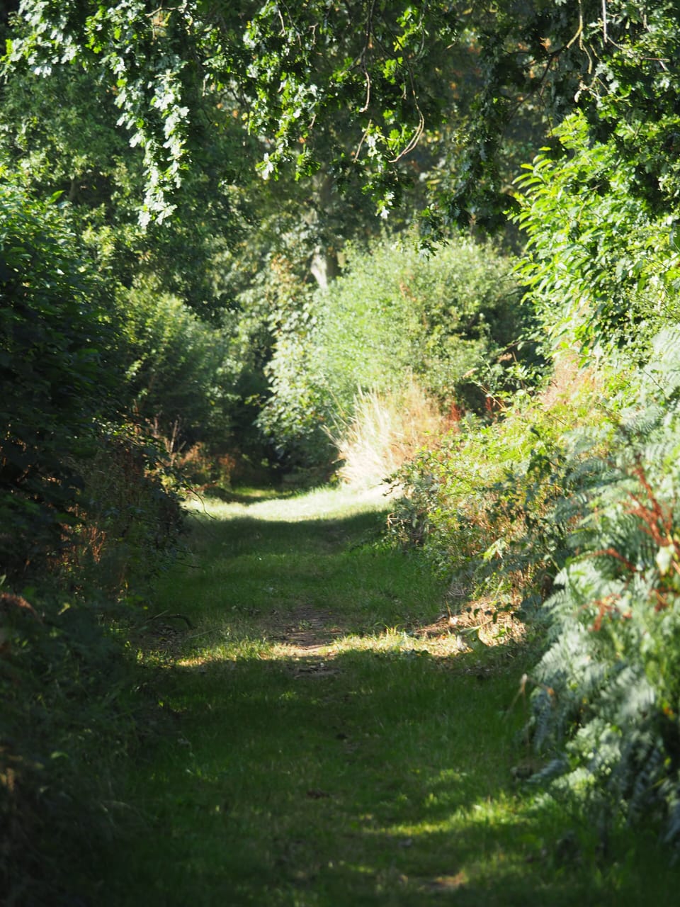 Great walks on the doorstep 
