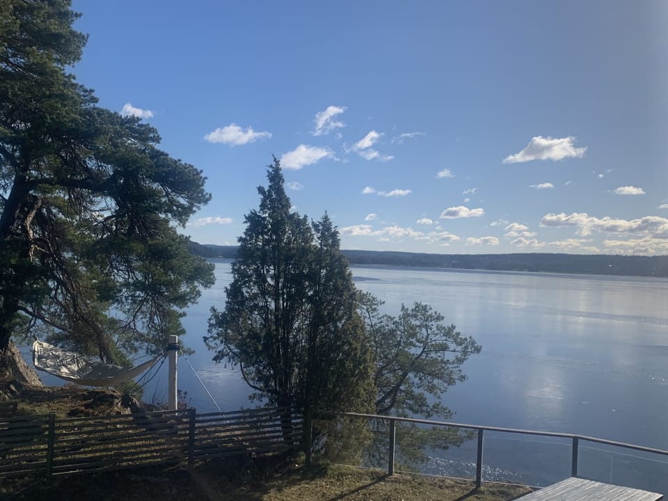 View from property