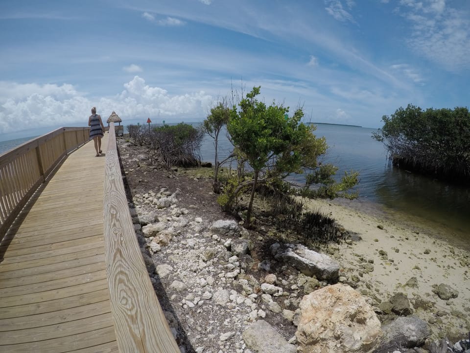 Brand new Pier
