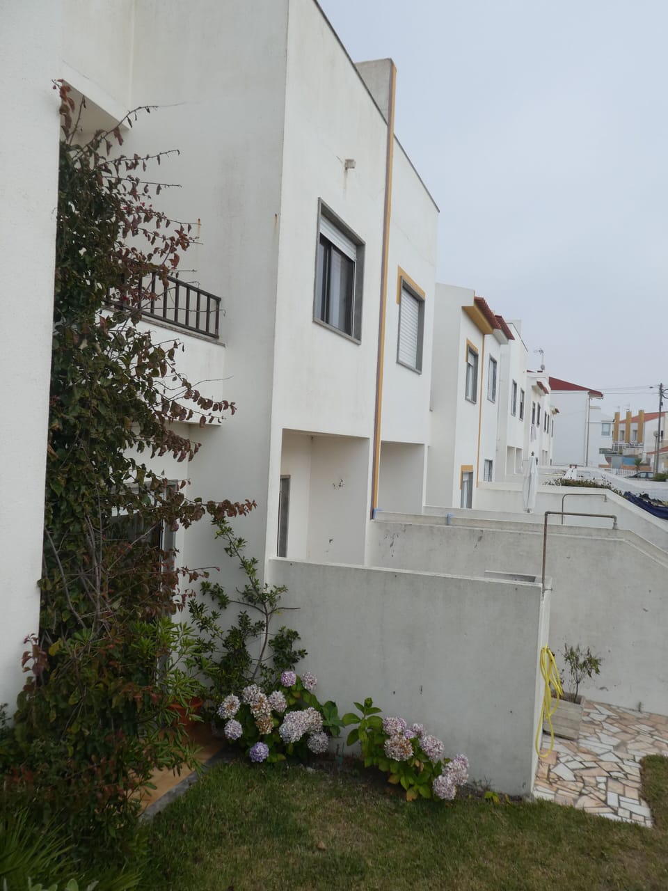 Jardim 