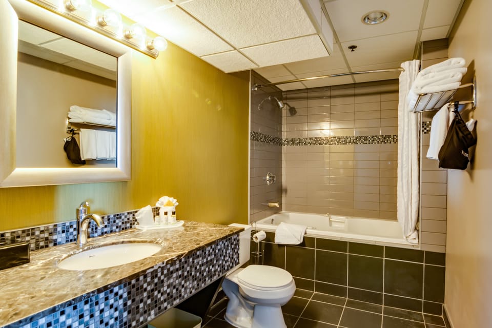 Combined shower/tub, eco-friendly toiletries, hair dryer, towels