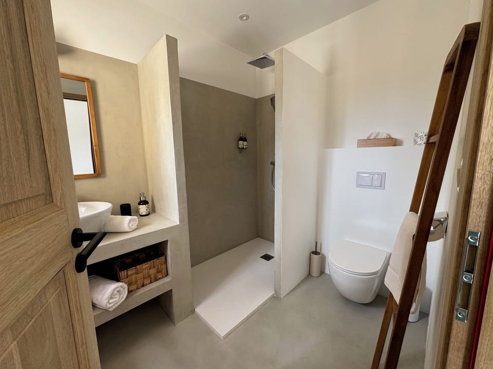 Superior Double Room | Bathroom | Shower, hair dryer, towels, soap