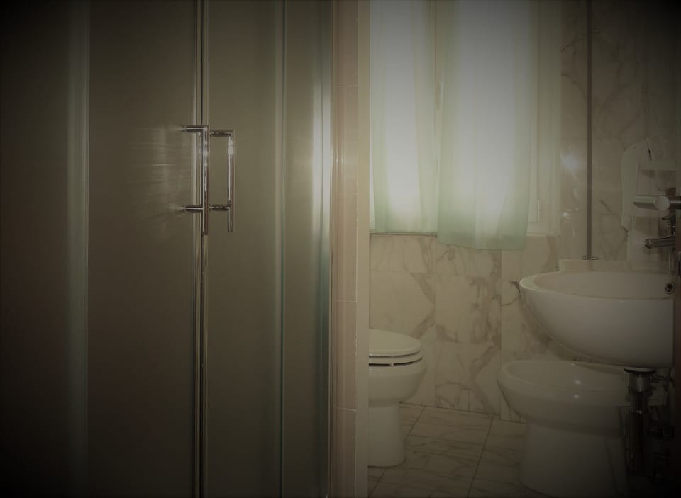 Hair dryer, bidet, towels