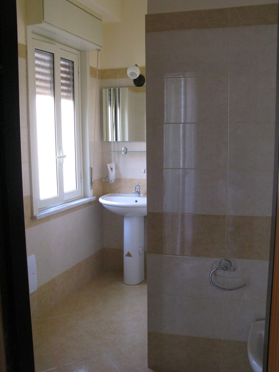 Hair dryer, bidet, towels
