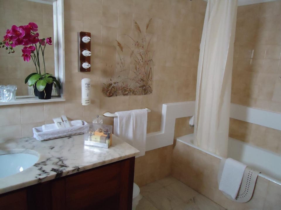 Combined shower/tub, hair dryer, bidet, towels
