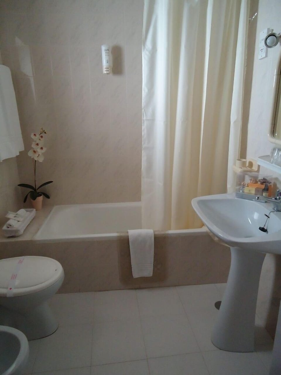 Combined shower/tub, hair dryer, bidet, towels