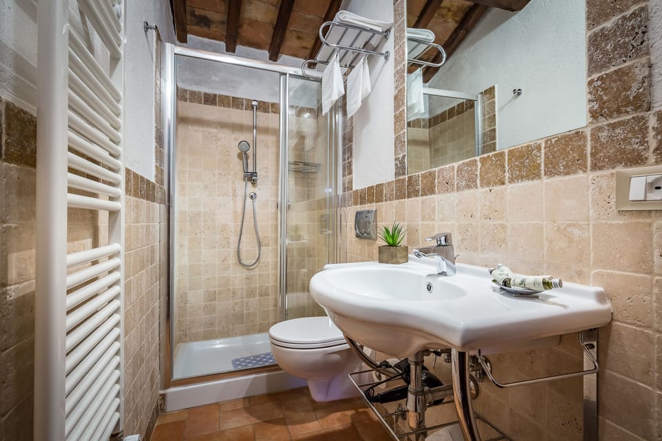 Shower, free toiletries, hair dryer, towels