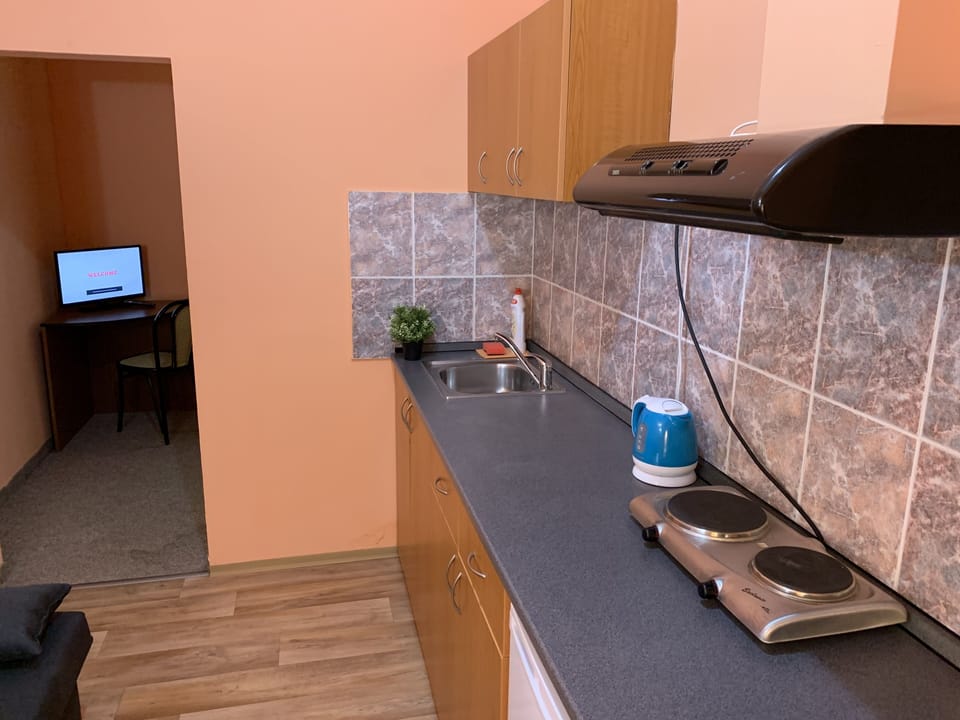 Apartment, 1 Bedroom | Private kitchen | Shared fridge, microwave, paper towels