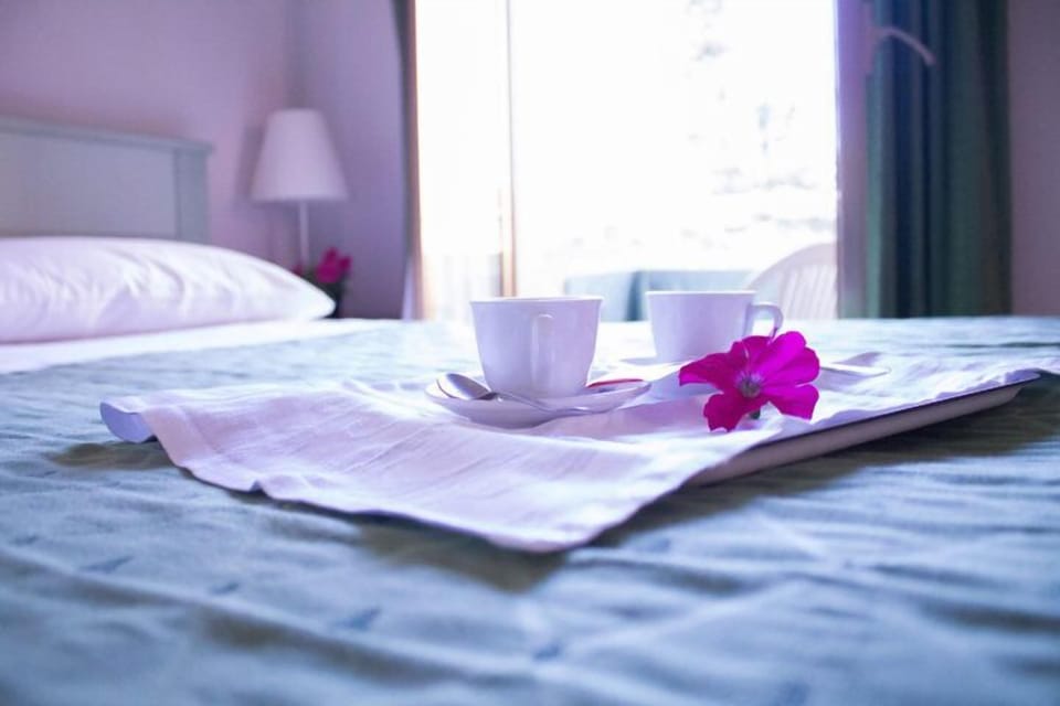 Double Room | Minibar, in-room safe, iron/ironing board, free cribs/infant beds