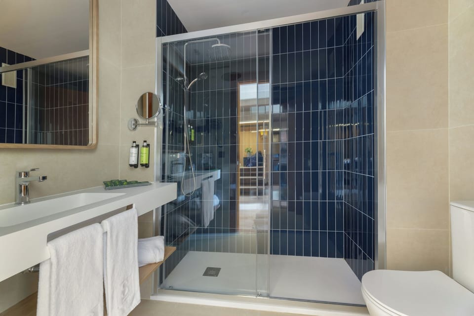 Shower, free toiletries, hair dryer, bidet
