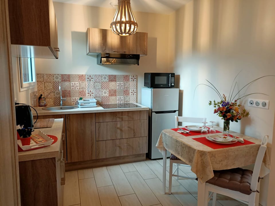 Studio | Private kitchen | Coffee/tea maker, electric kettle, cleaning supplies