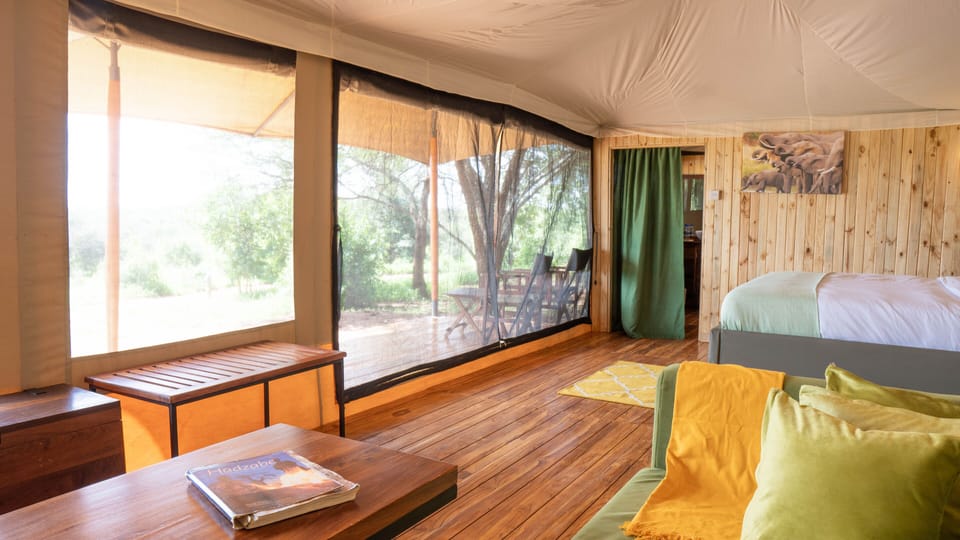 Tent | View from room