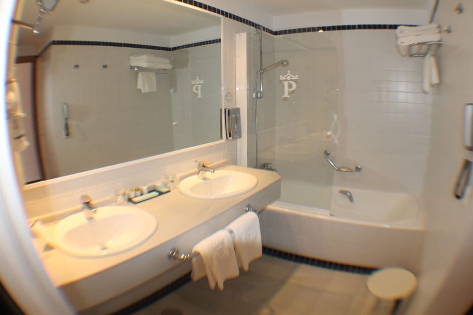 Hair dryer, bidet, towels
