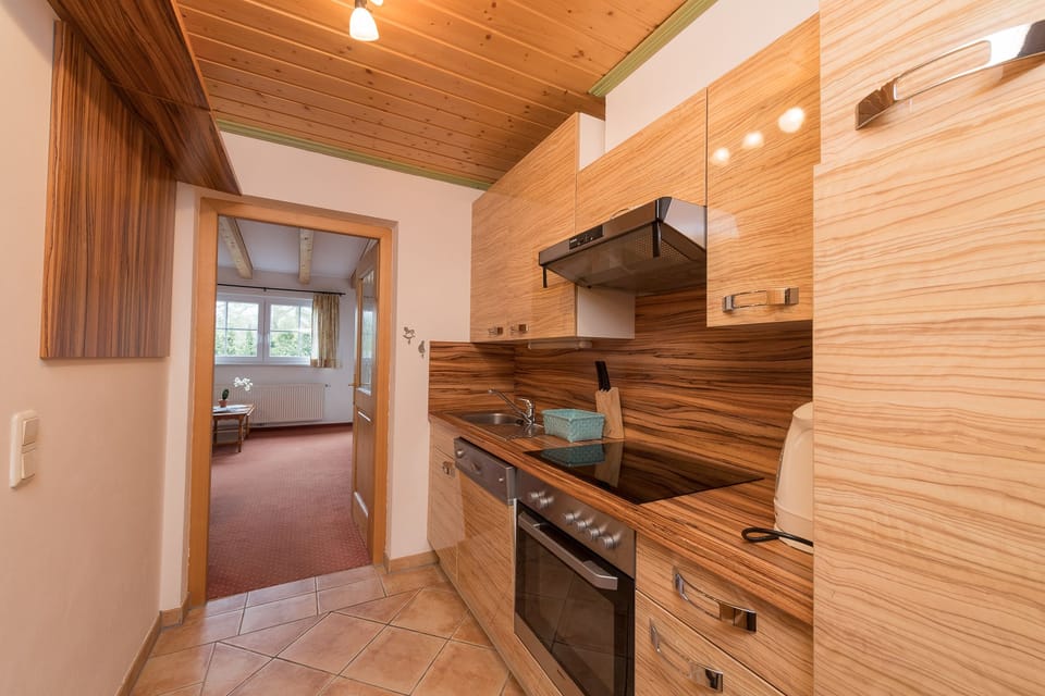 Family Apartment, 2 Bedrooms, Balcony, Mountain View (Included: Cleaning Fee 90.00 EUR) | Private kitchen | Full-size fridge, microwave, stovetop, dishwasher