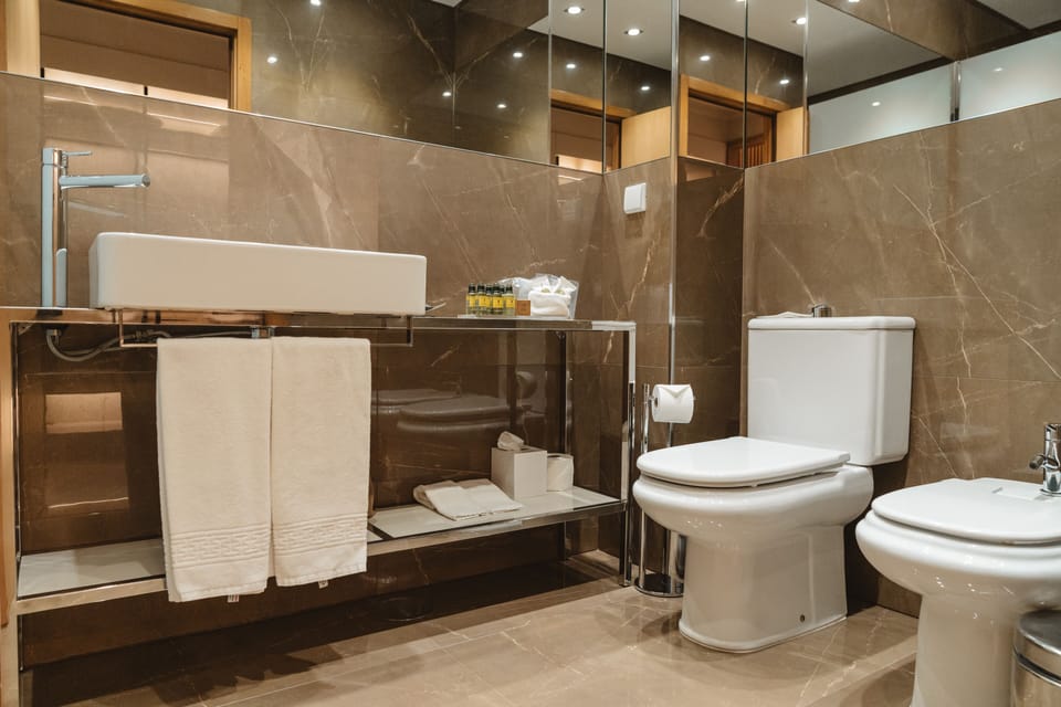 Hair dryer, bidet, towels