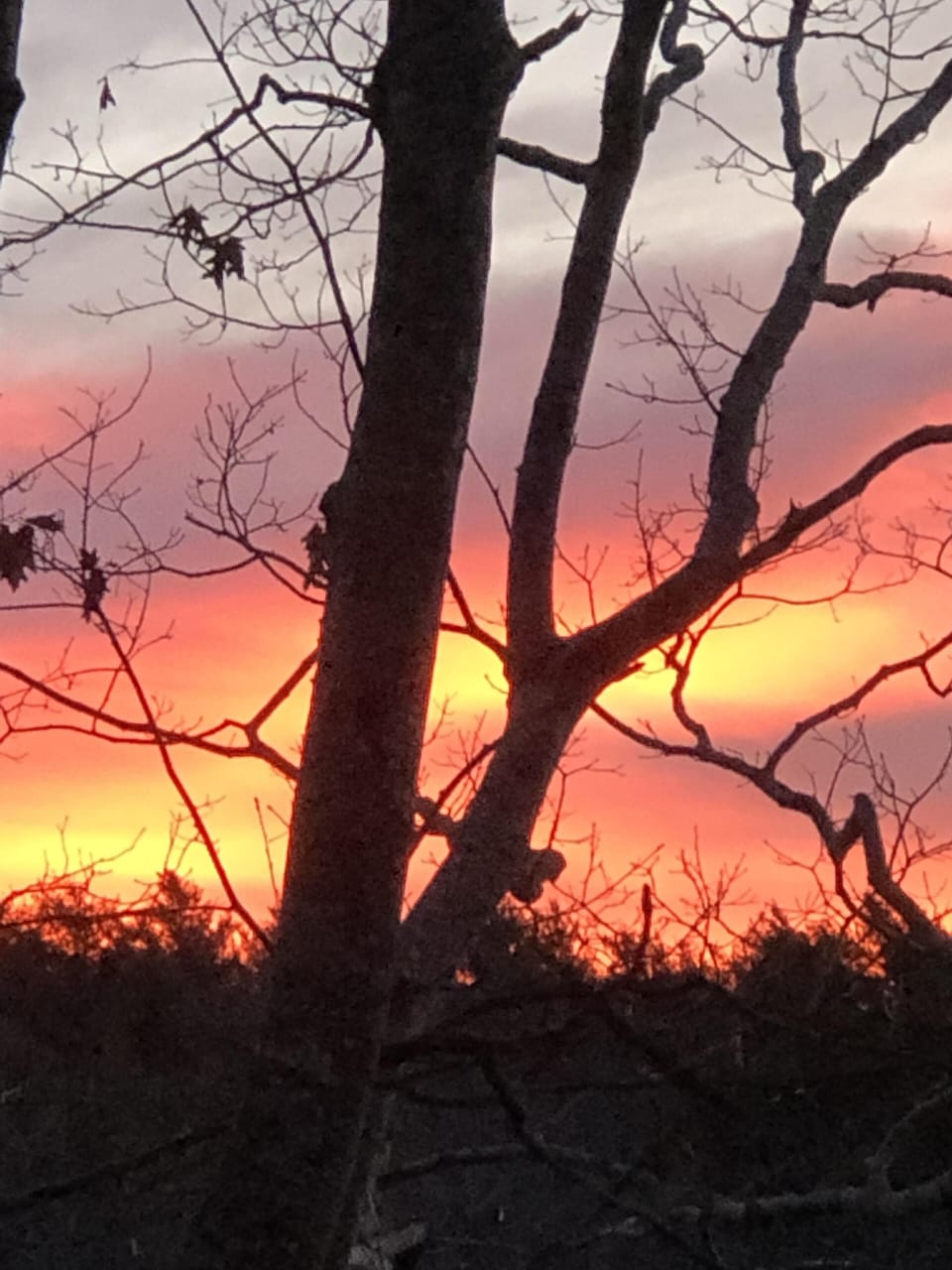 Taken at sunrise in the Fall behind our home. The end to a perfect vacation. 