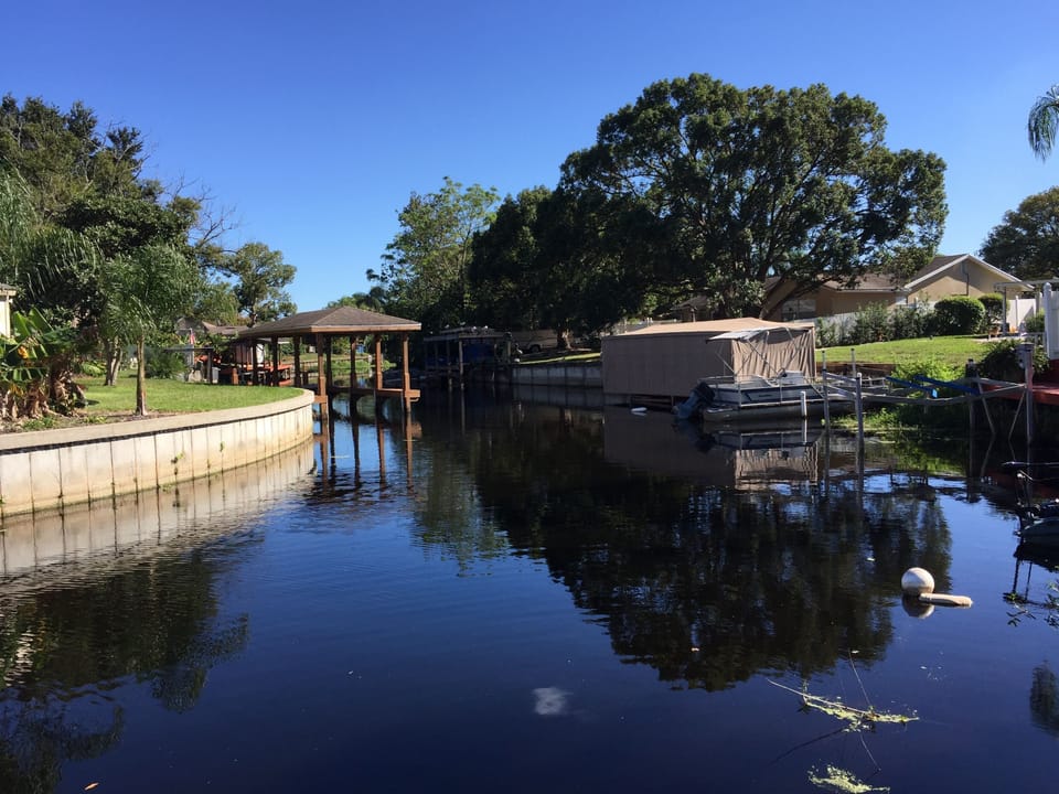 View of the canal from the dock. Watch the ducks, otters, birds and fish go by.