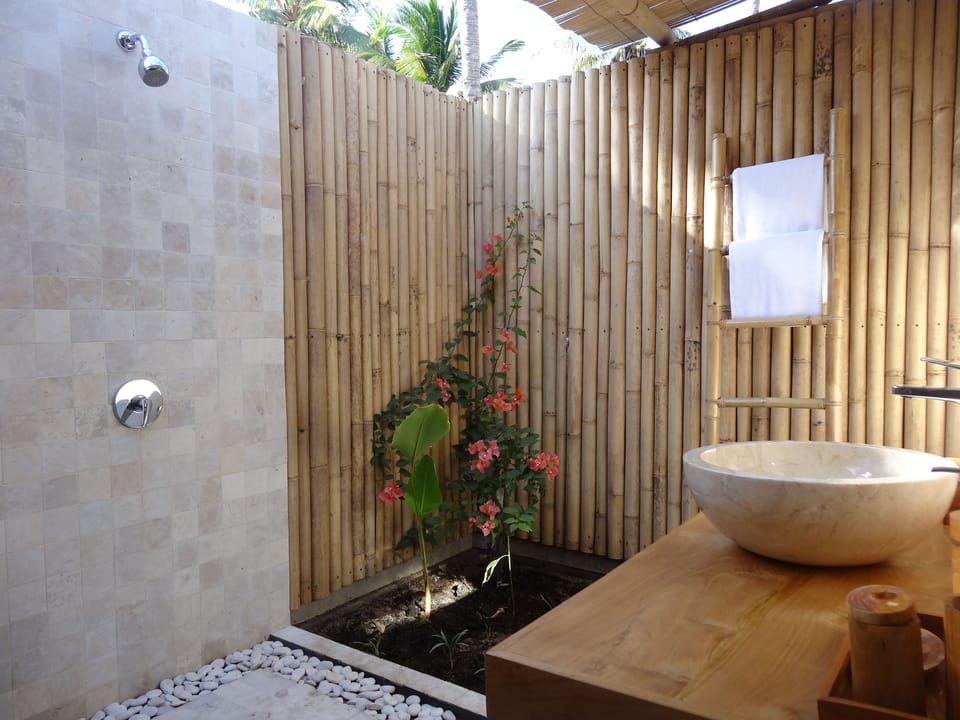 Shower, free toiletries, towels