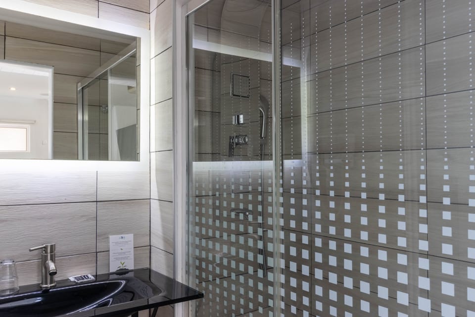 Standard Double Room | Bathroom | Rainfall showerhead, hair dryer, towels, soap