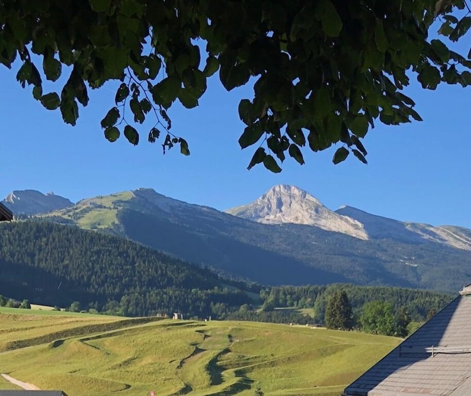 Mountain view
