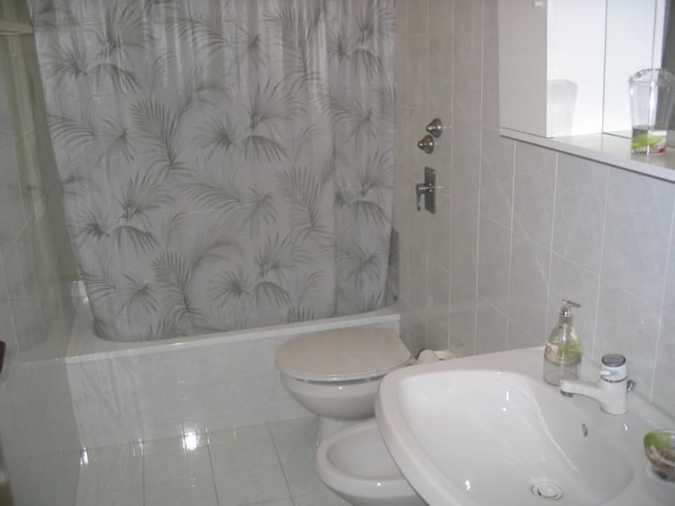 Shower, free toiletries, hair dryer, bidet