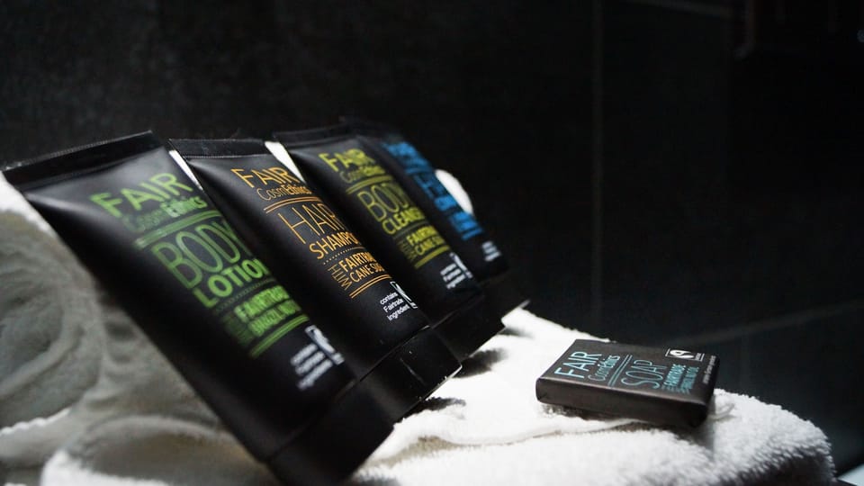 Standard Double Room | Bathroom | Free toiletries, hair dryer, soap, shampoo