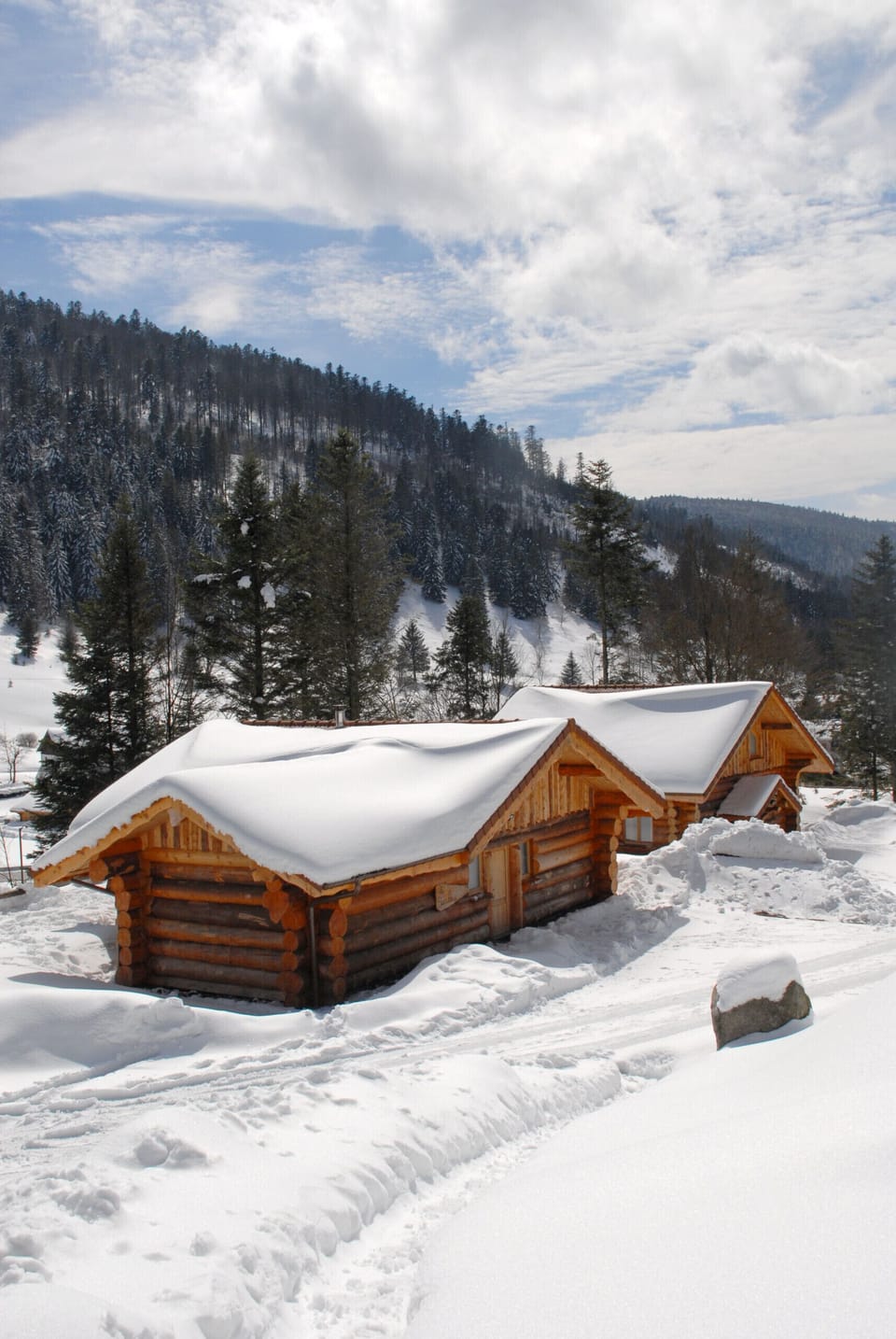 Hameau chalet en rondin hiver neige LA BRESSE Vosges