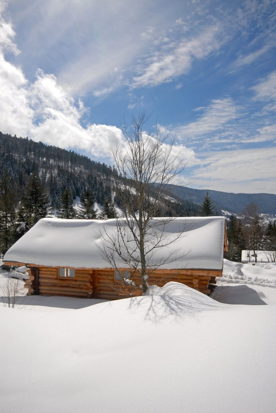 Chalet en rondin en hiver La Bresse