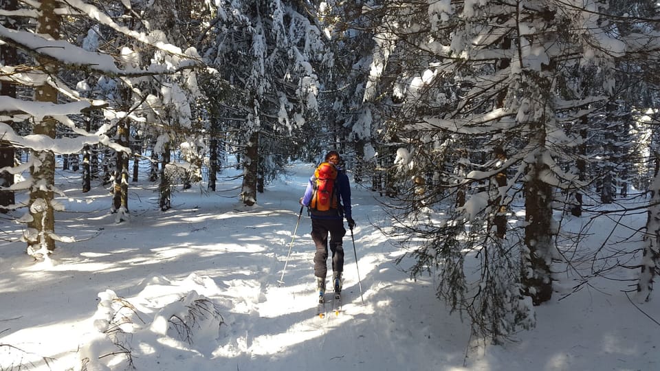 Activités Randonnées raquettes hiver neige Vosges