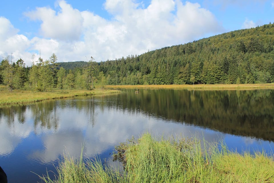 Lac promenade baignade Vosges La Bresse Vallée