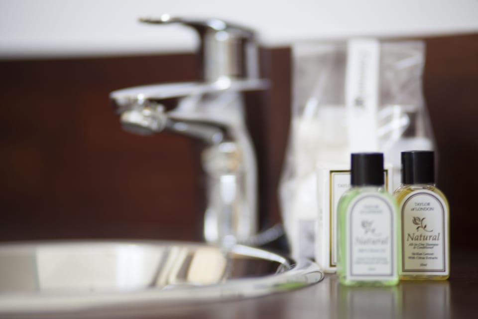 Shower, rainfall showerhead, free toiletries, hair dryer