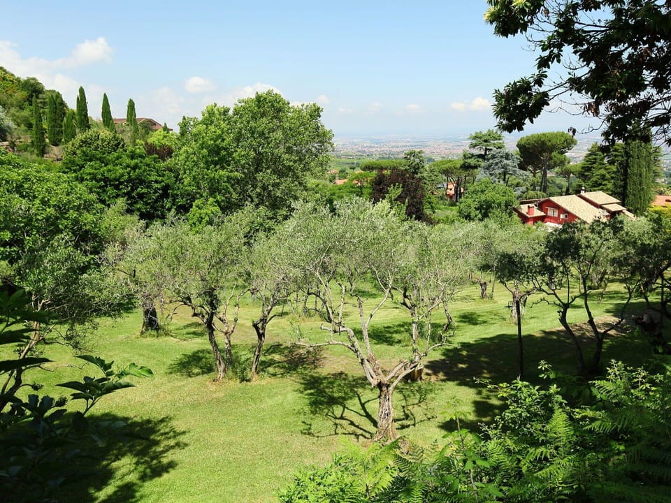 Natural Landscape, Vegetation, Nature, Green, Tree, Natural Environment, Nature Reserve, Hill Station, Wilderness, Biome