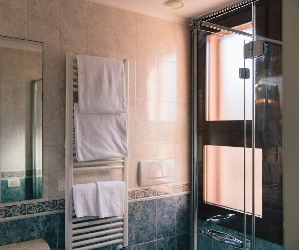 Free toiletries, hair dryer, slippers, bidet