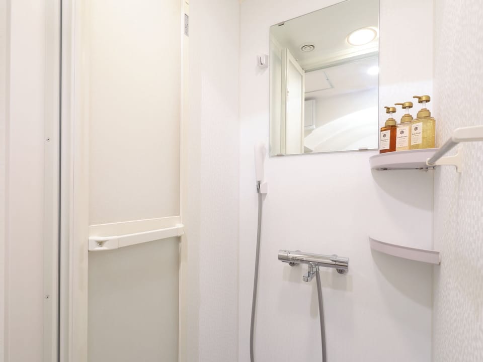 Free toiletries, hair dryer, slippers, bidet