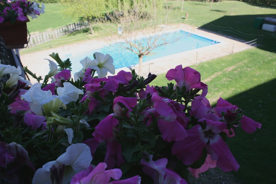 Seasonal outdoor pool, open 9:00 AM to 9:00 PM, sun loungers