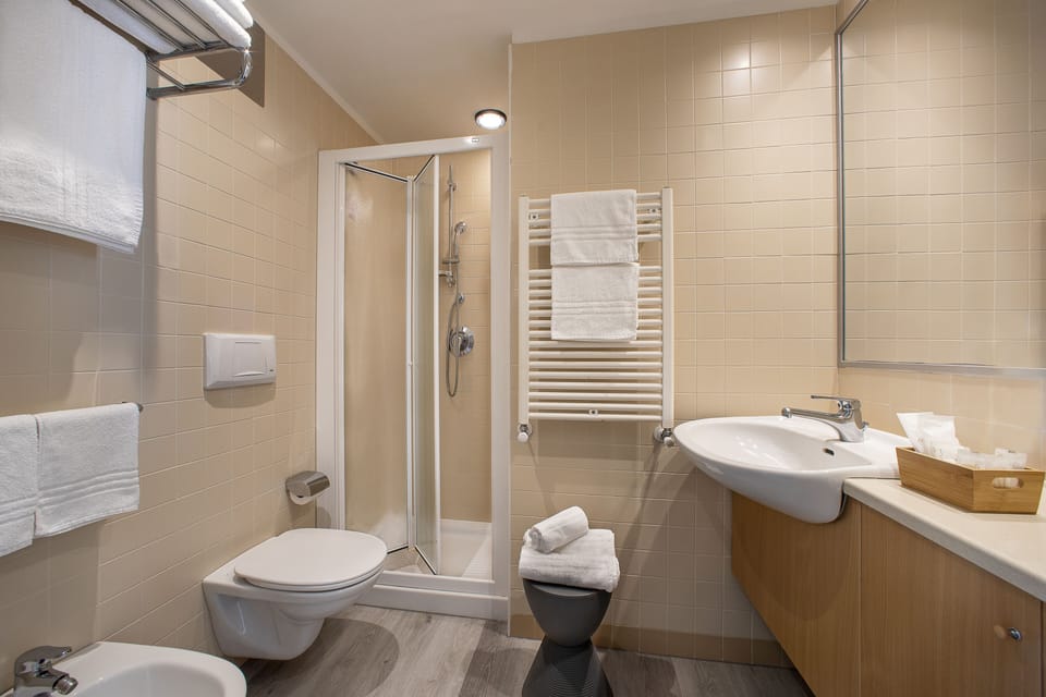 Shower, free toiletries, hair dryer, bidet