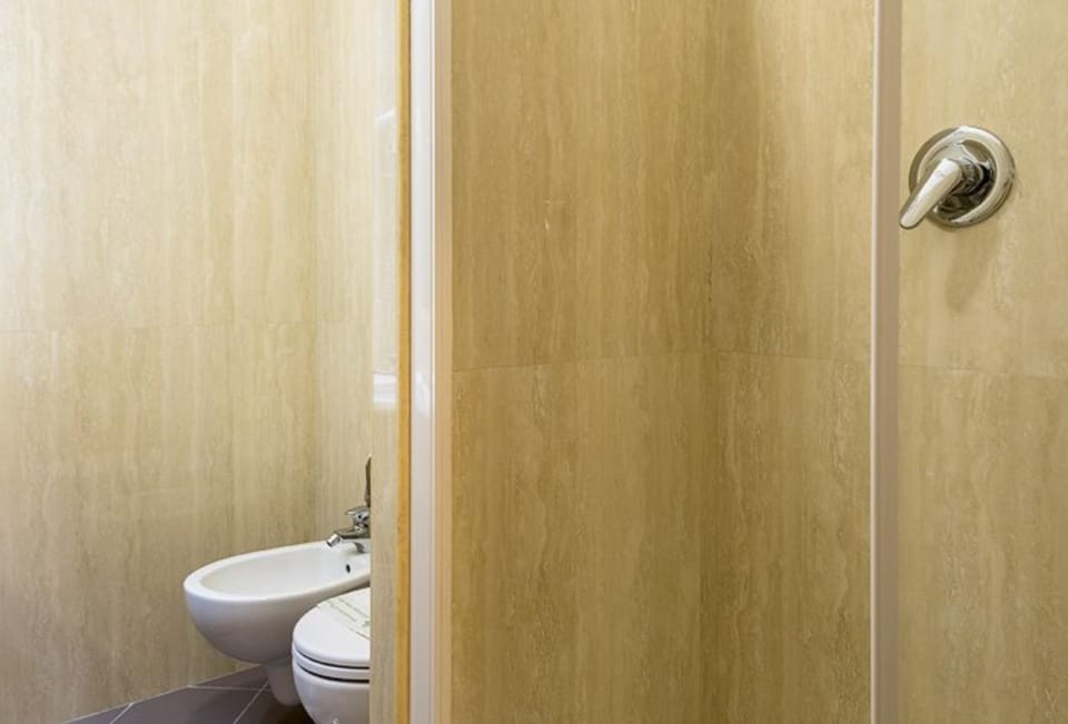 Shower, free toiletries, hair dryer, bidet