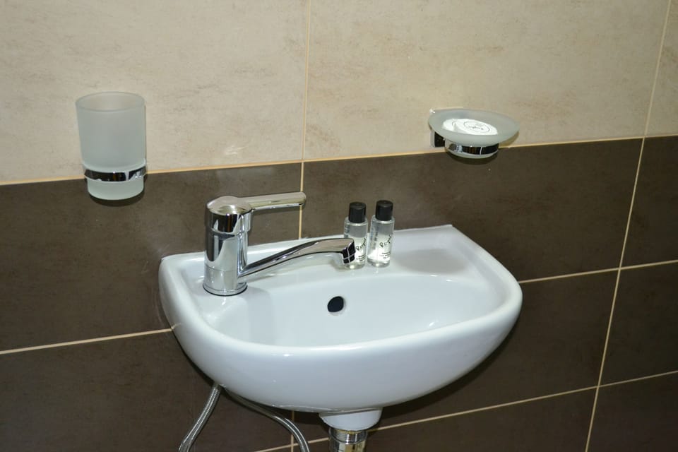 Basic Double or Twin Room | Bathroom | Shower, free toiletries