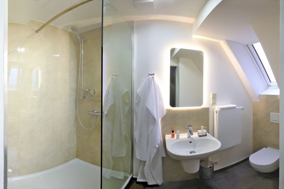 Superior Double Room | Bathroom | Shower, free toiletries, hair dryer, towels